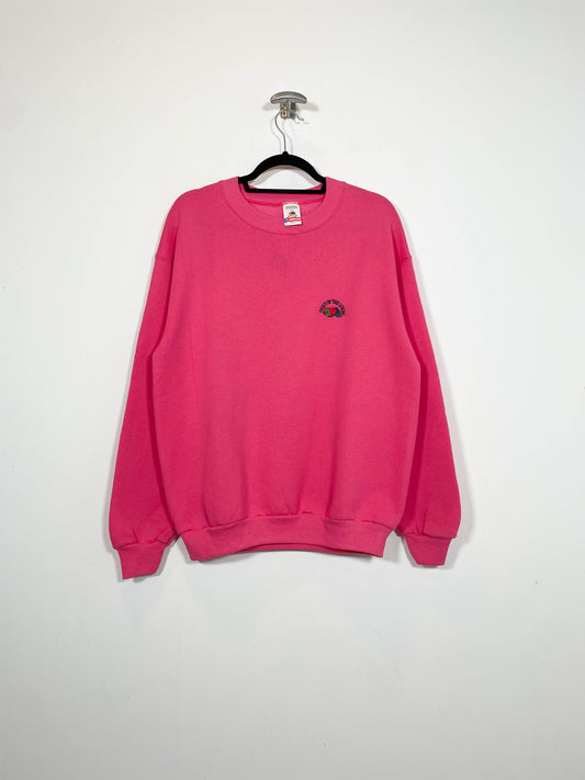 Sudadera Fruit of the Loom DS - Talla M